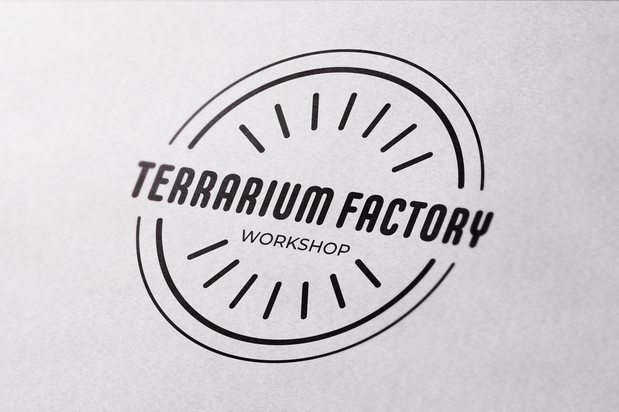 Black Cherries - Terrarium Factory